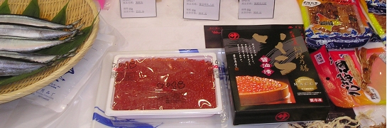 P1010008.JPG